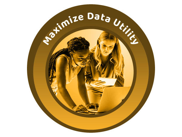 A yellow, circular icon with a photo of two women looking over notes. Above them are the words Maximize Data Utility.