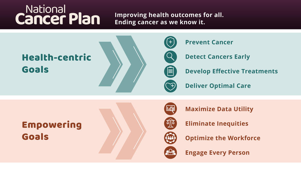 Graphic depicting the 8 National Cancer Plan goals organized by categories of health-centric goals and empowering goals
