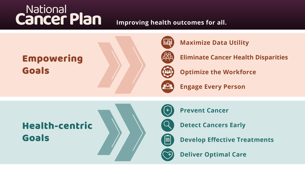 Graphic depicting the 8 National Cancer Plan goals organized by categories of health-centric goals and empowering goals